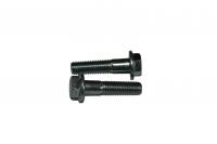 Болт M10x45 DIN 6921-10P (2 шт.)
