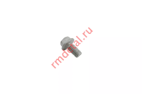 Винт М6х10 21040104401