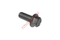 Болт фланцевый M10x25х1.25 01256100256