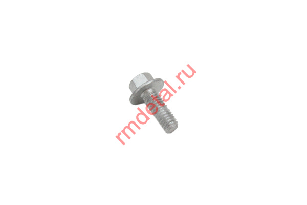 1007681  Винт с шестигранной головкой 01254060166