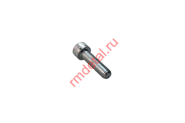 0068956  Винт М8х30 DIN 912-88P
