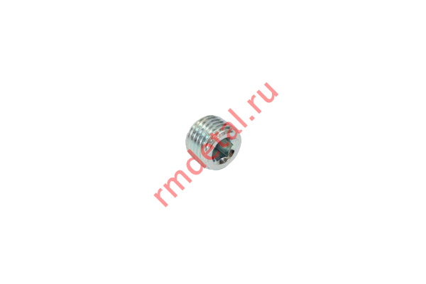 0122333  Пробка резьбовая NPT 1/4 21040105801