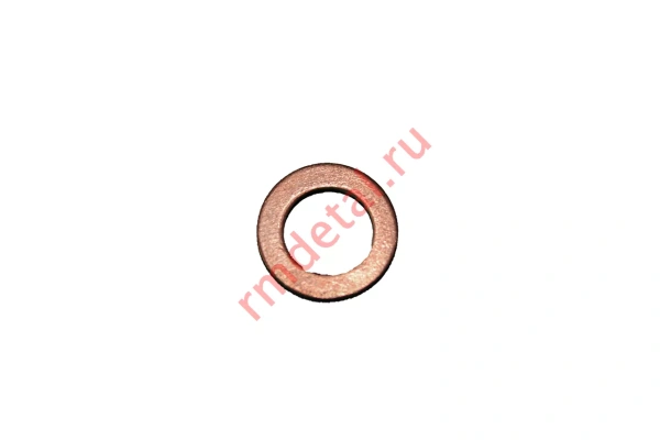 0079005  Кольцо уплотнительное 110501269