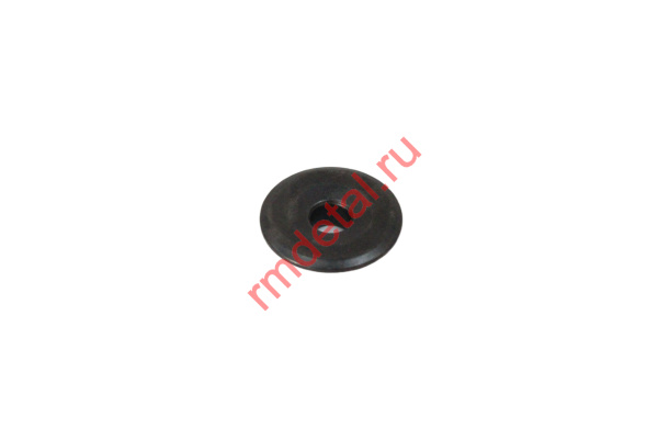 0122290  Шайба упорная 21040100801