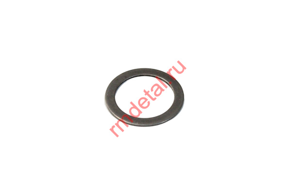 1007525  Шайба 21040206902