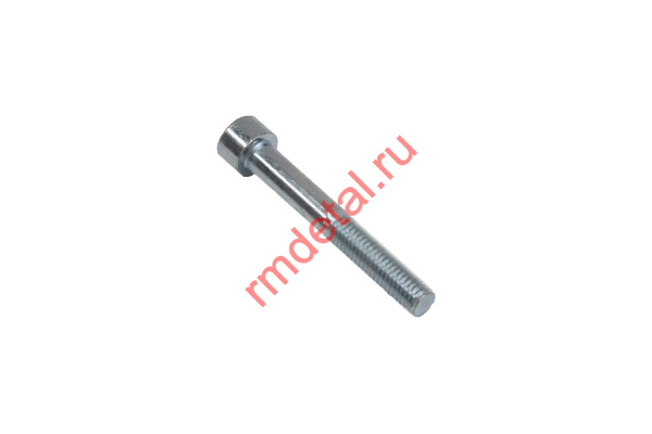 0092781  Винт М10х70 DIN 912-88P