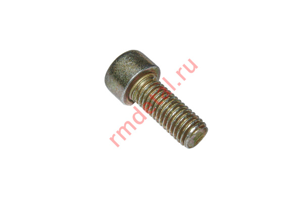 0071788  Винт М8х20 DIN 912-88P