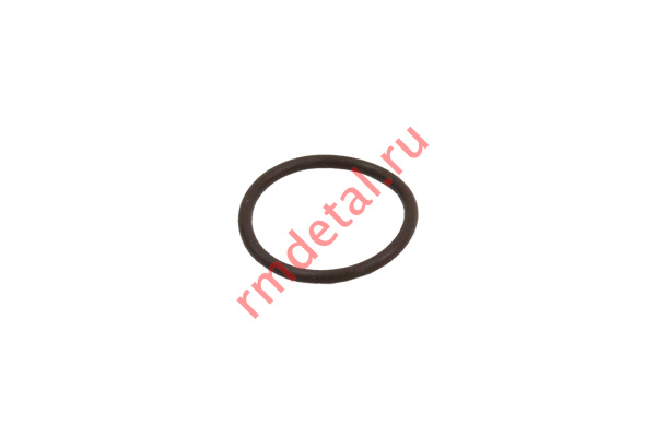 0122303  Кольцо уплотнительное 21040104601