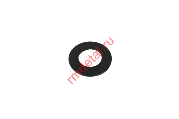 1007524  Шайба 16101140050