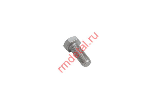 1007724  Болт М10×1,25×25 17003120980