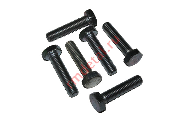0127059  Болт M10x45 DIN 933-88P (6 шт.)