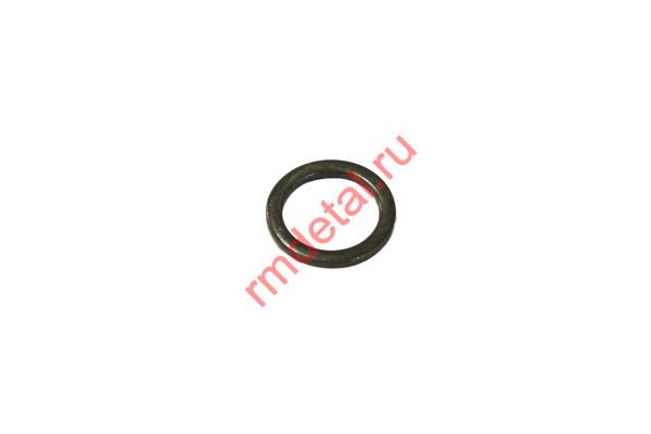 1007523  Шайба 06219162205